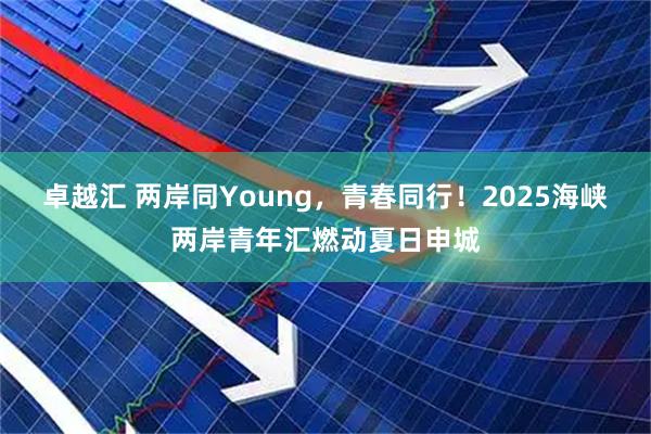 卓越汇 两岸同Young，青春同行！2025海峡两岸青年汇燃动夏日申城